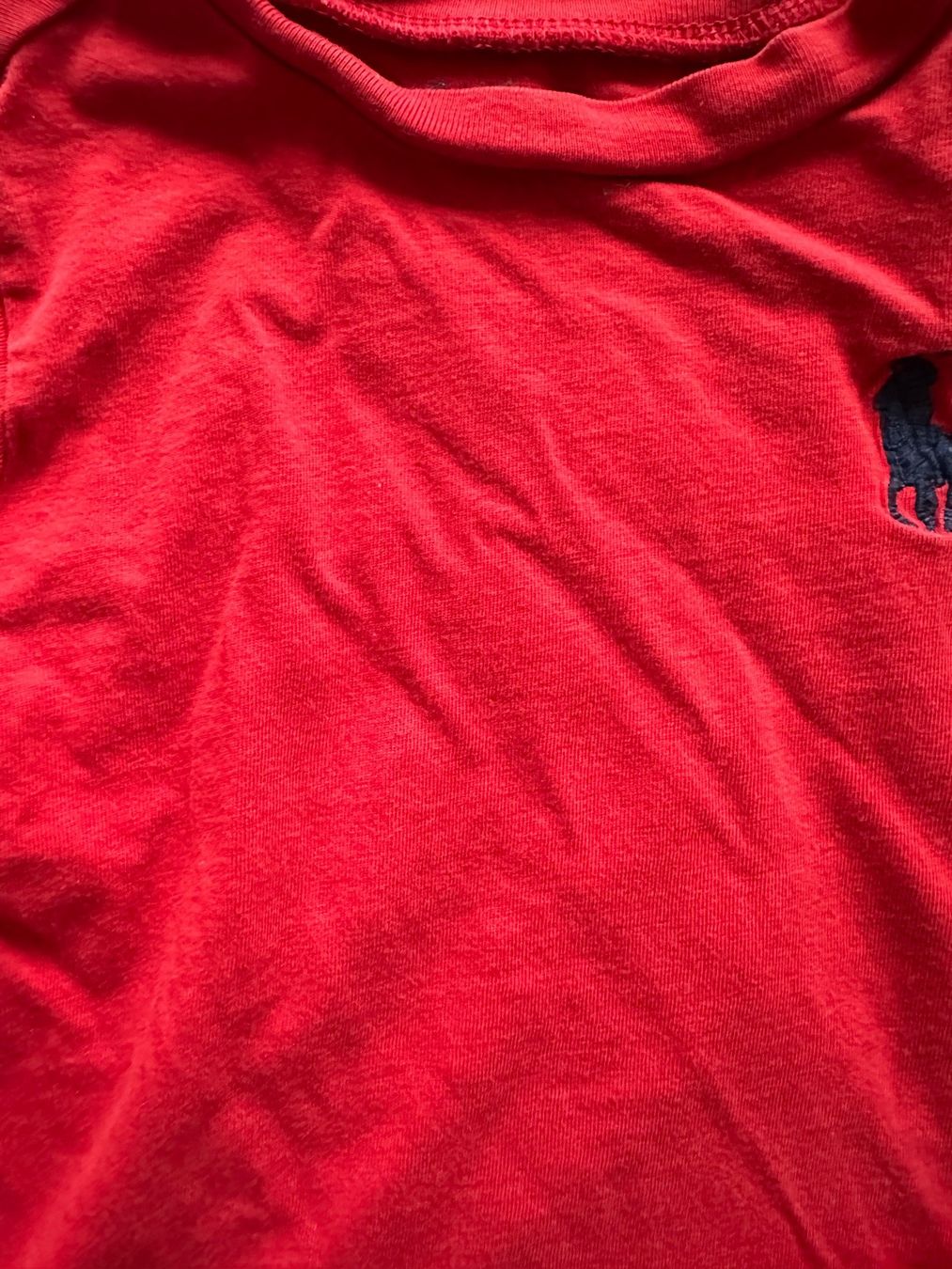 Ralph Lauren Hemden, T-Shirts & Polos: T-Shirt Ralph Lauren – Gebraucht aus Dürrenroth von tvy_bh56 1