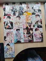 Manga Liebe im Anzug  Band 1 bis 13 Komplet