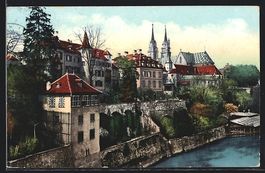 Basel, Münster mit Deutschrittergarten