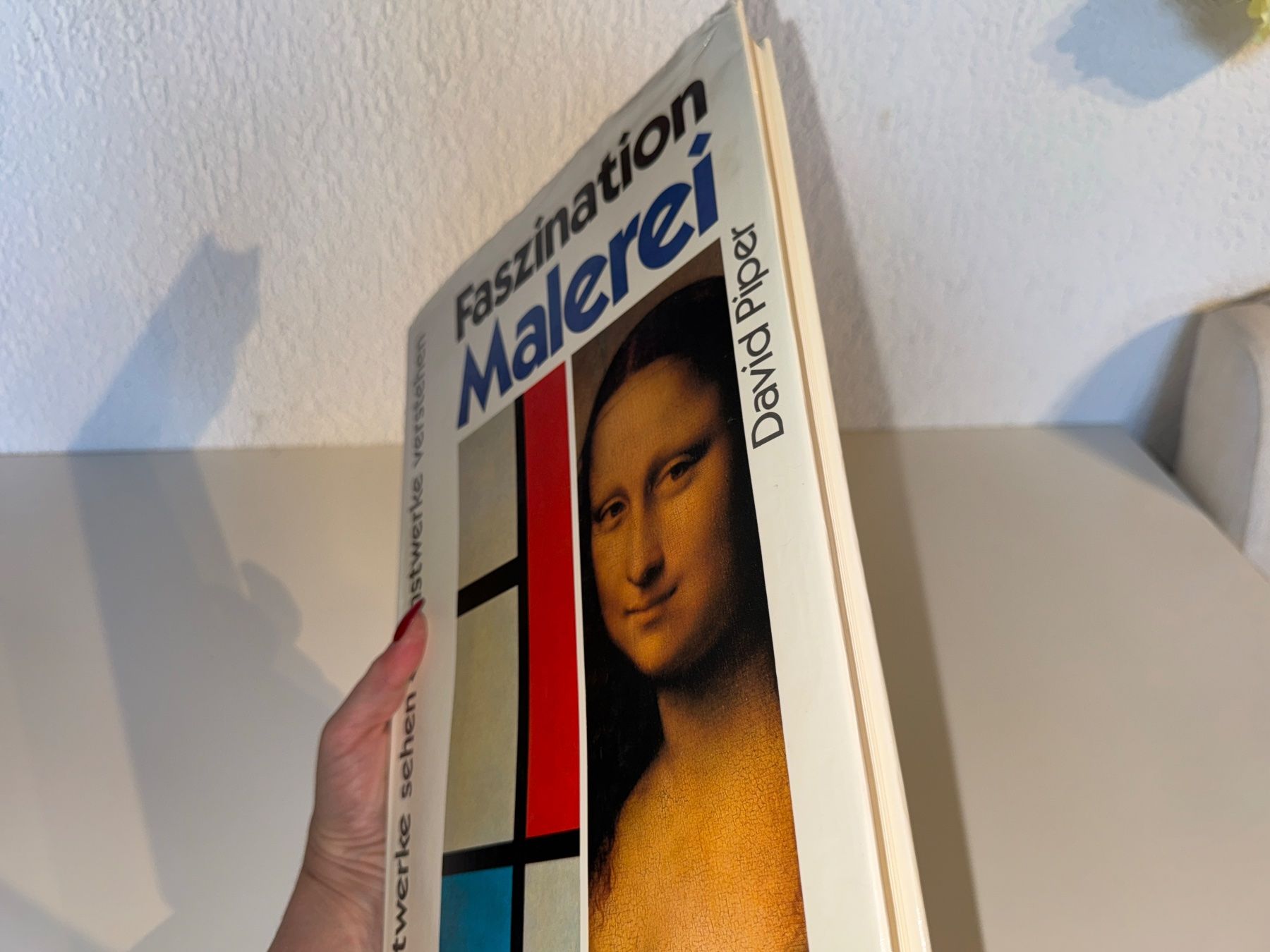 Libri: BUCH: Faszination Malerei – Usato da Grosswangen venduto da Second_hand_paradise 1