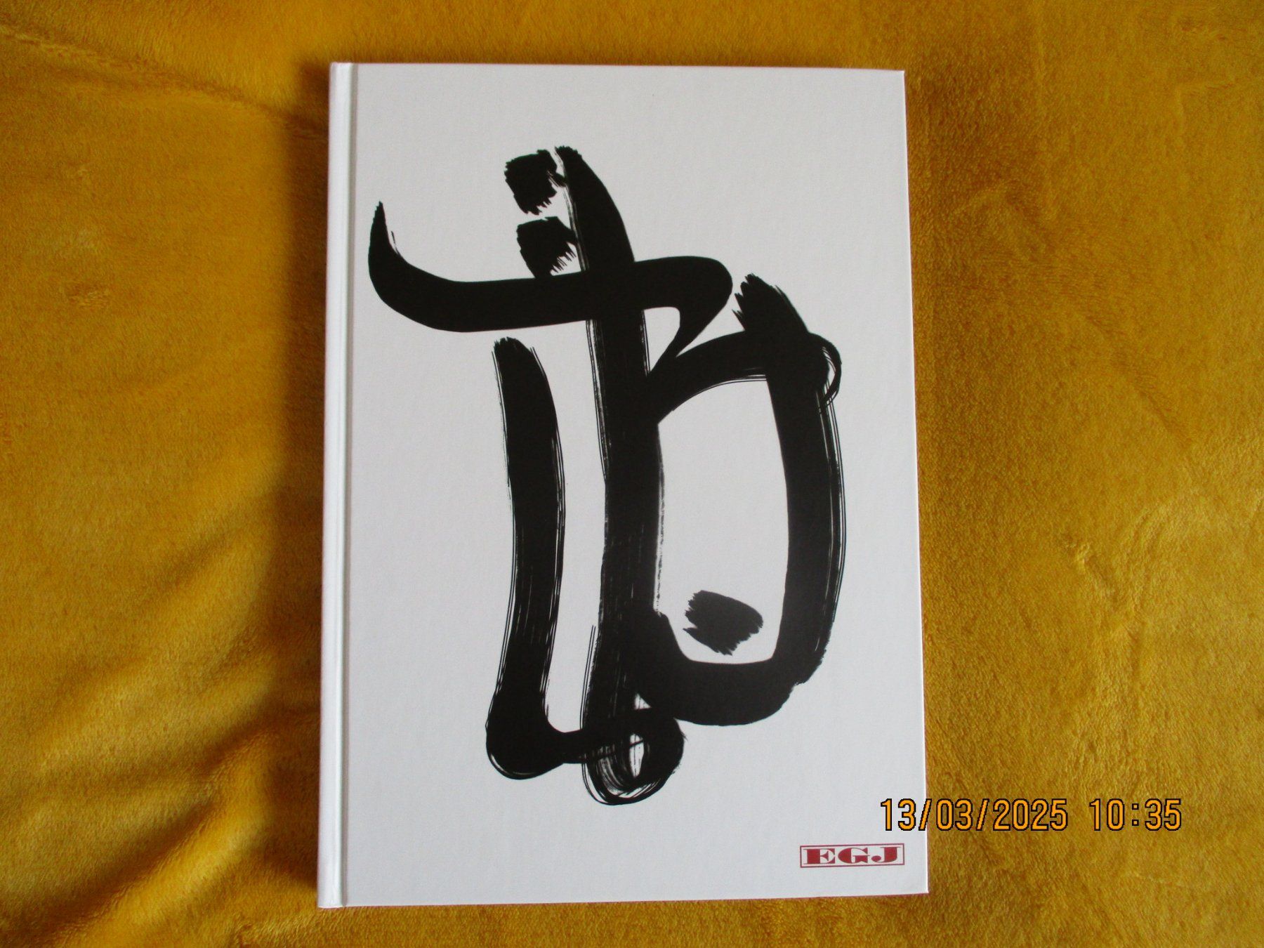 Libri: BUSHIDO LEBENS-BUCH 240 SEITEN! – Nuovo (secondo la descrizione) da Safenwil venduto da universum78