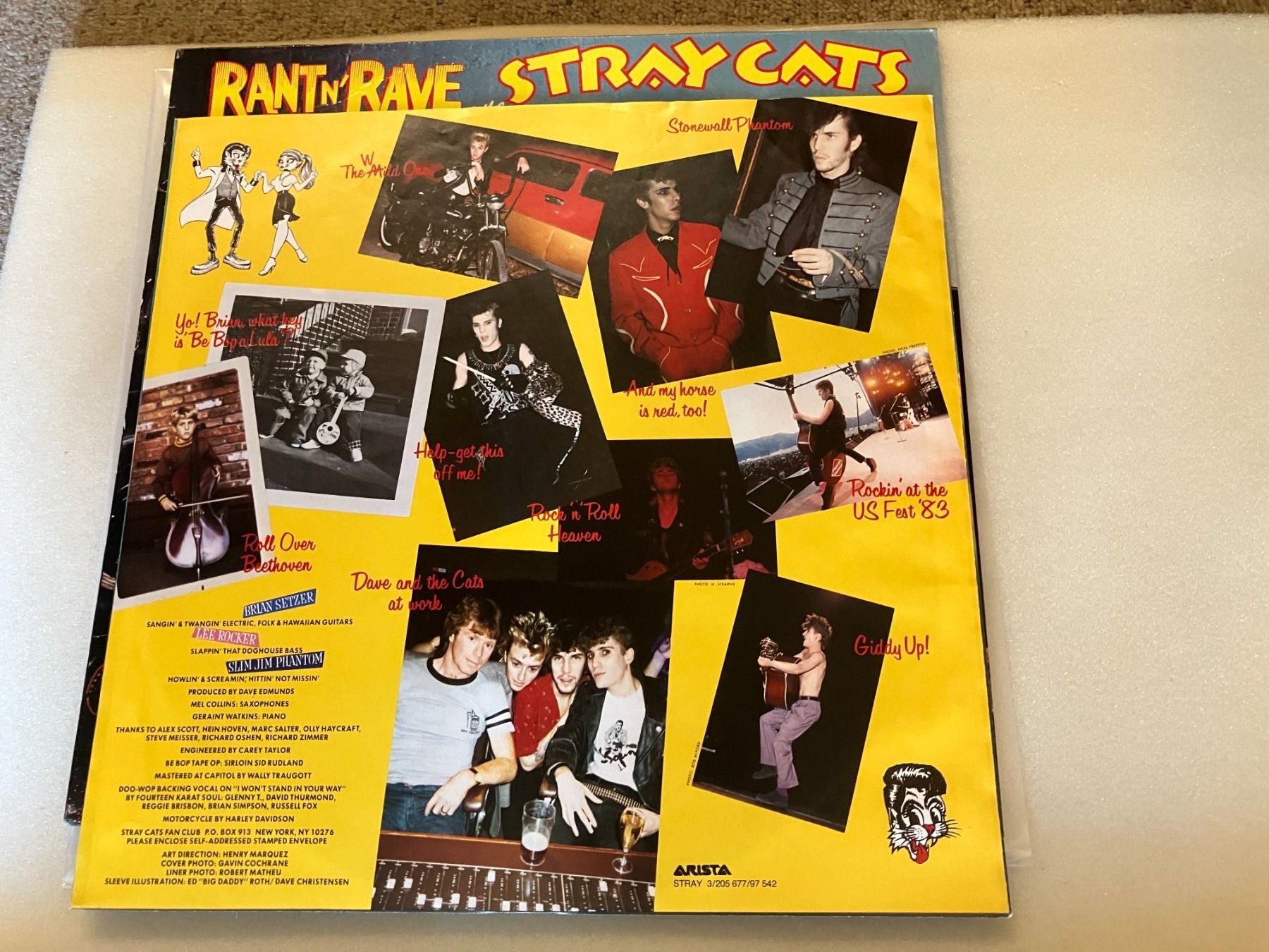 Dischi in vinile: Stray Cats – Usato da Aarwangen venduto da Jukebox3 4