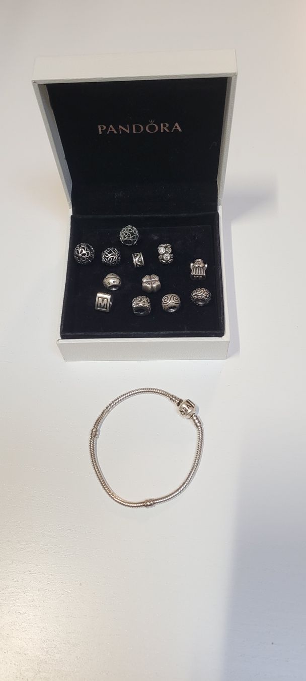 Pandora Bracciali & Braccialetti: Pandora Armkette Silber mit 12 Charms – Usato da Meinisberg venduto da mirreb 1