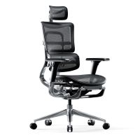Ergonomischer Schreibtischstuhl V-Master - Schwarz