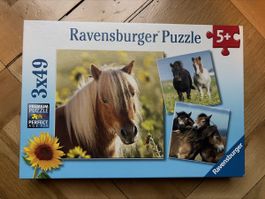 Ravensburger Puzzle 3x49 Pferde 1x zusammengesetzt 