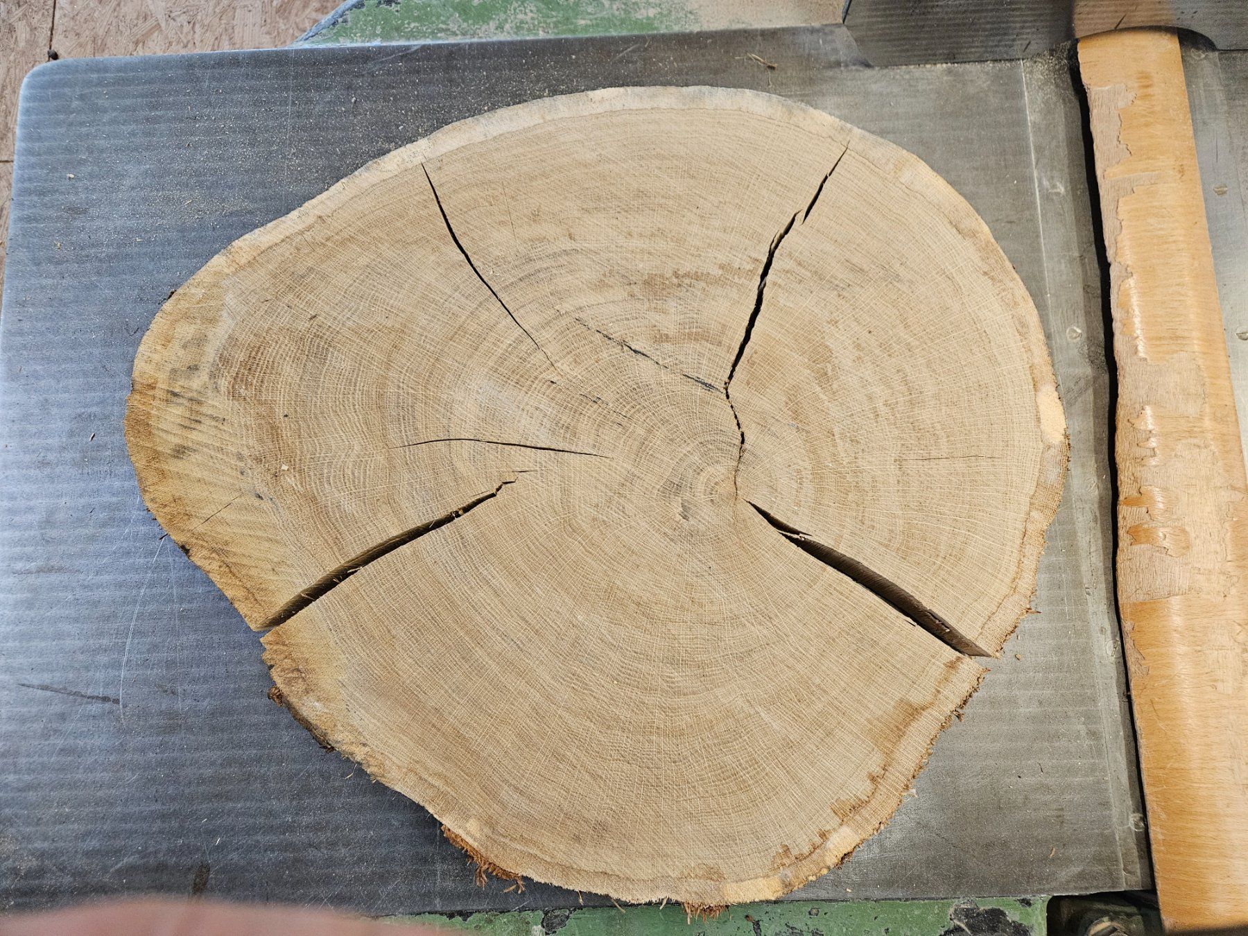 Holzartikel: Eichen Holz Baumscheibe – Neu (gemäss Beschreibung) aus Schangnau von egli6.2 7