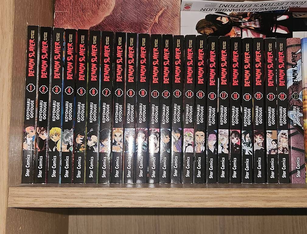 BD: DEMON SLAYER COMPLETA ITA – D'occasion à Monte Carasso par raj_wx77