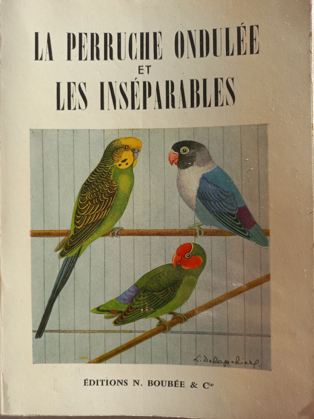 Libri: La perruche ondulée et les inséparables 1959. . – Usato da Dompierre FR venduto da fat_xth5