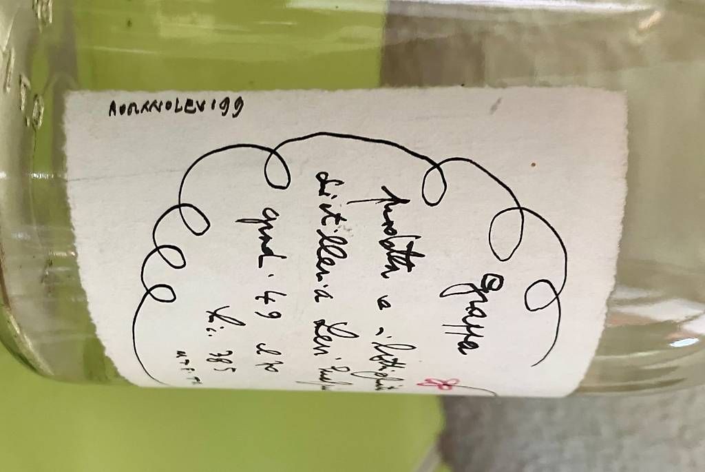 Altro: Original Bemalte Grappa Flasche von Levi – Nuovo e nell'imballaggio originale da Mettmenstetten venduto da Rahagon 2