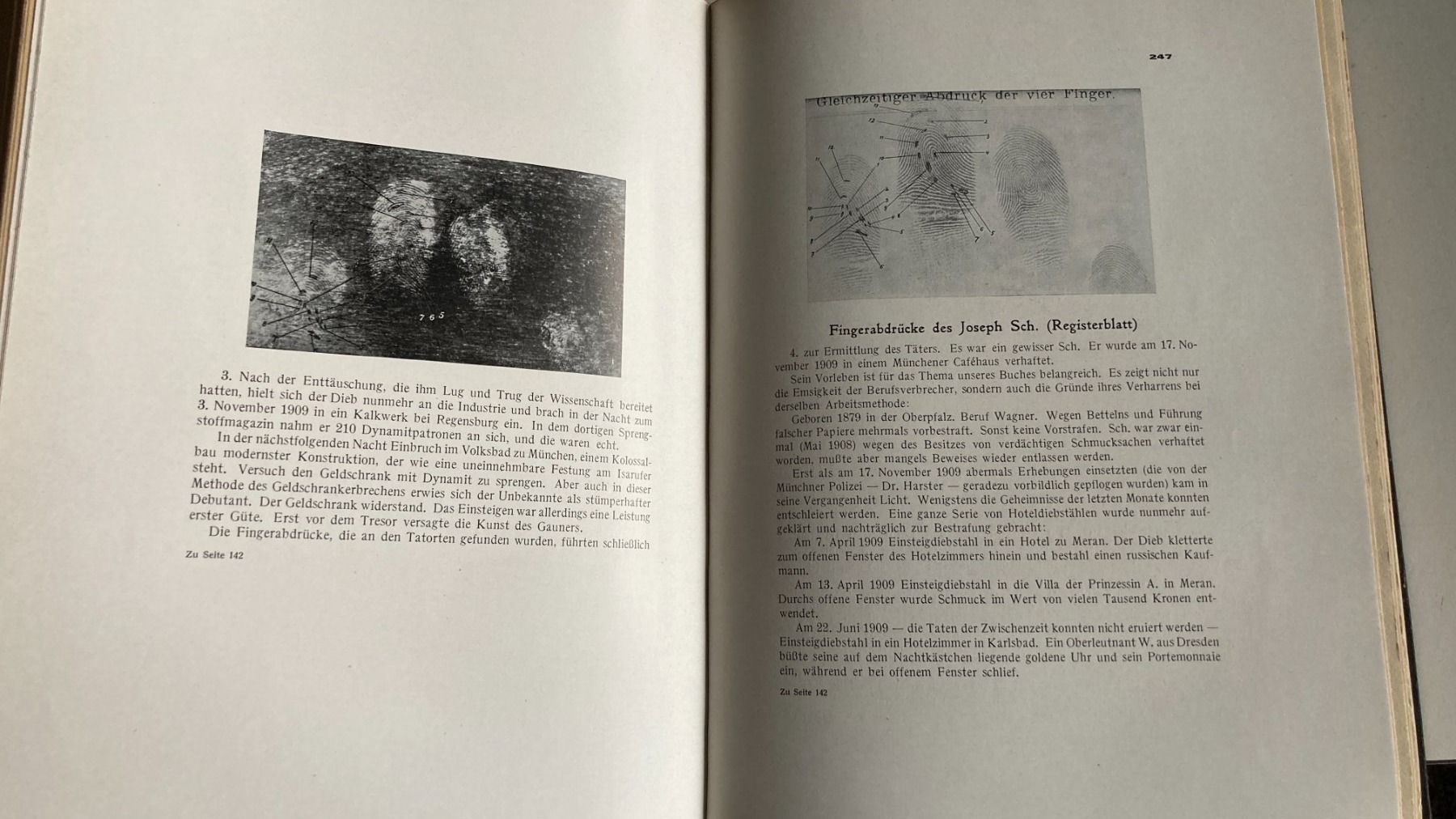 Libri: Antikes Buch "Der Berufsverbrecher", 1927, R. Heindl – Usato da Zwingen venduto da Hugom 4
