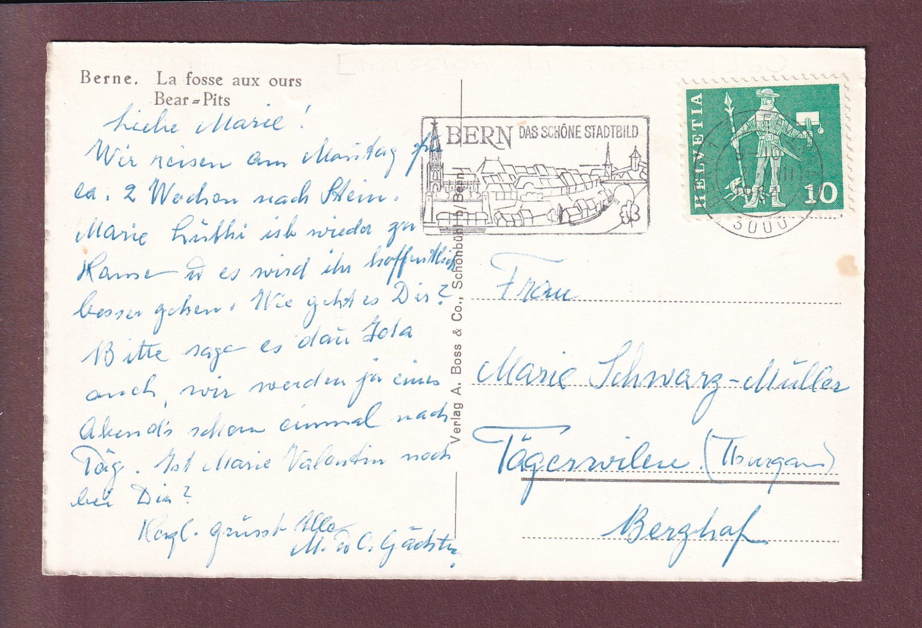 Cartoline postali: BERN - Bärengraben - 1964 // leichte Falte // – Usato da Pully venduto da nicecards 1