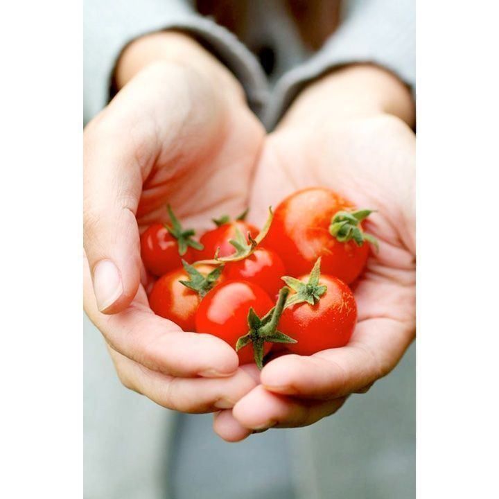 Piante & sementi: 50 Samen GARDENERS DELIGHT Kirschtomate – Nuovo (secondo la descrizione) da Ehrendingen venduto da VerveinaSamen 5