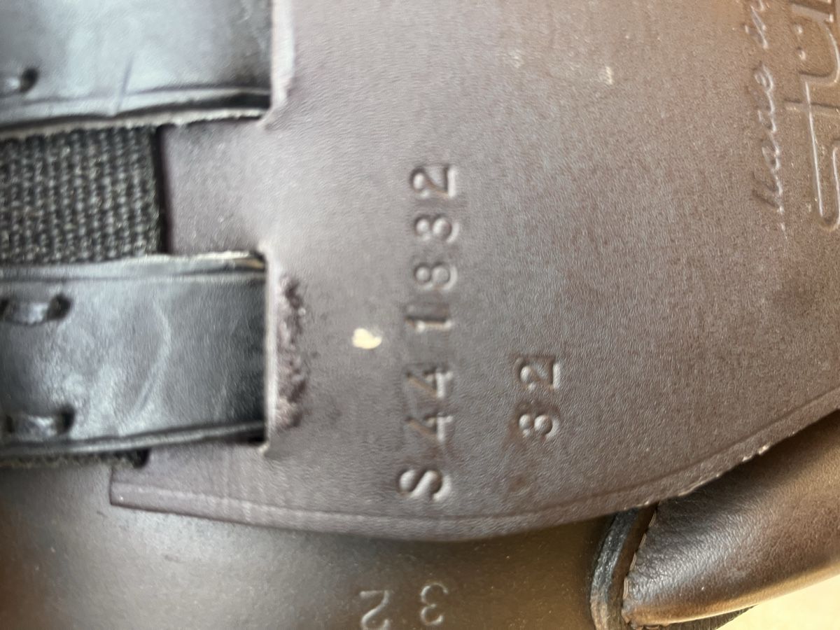 Selle & Accessori: Sattel – Usato da Eptingen venduto da sch_mc6c 5