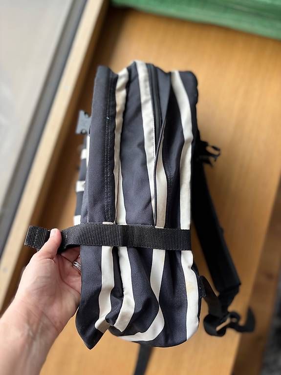 Rucksäcke: Eastpak Pinnacle – Gebraucht aus Hägglingen von Kleidungfan 1