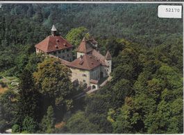 Flugaufnahme Schloss Kyburg
