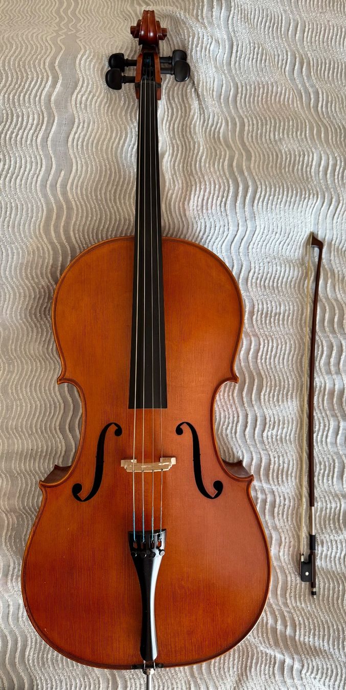 Strumenti musicali: Cello von Benedikt Lang (Mittenwald) – Usato da Illnau venduto da Halixx