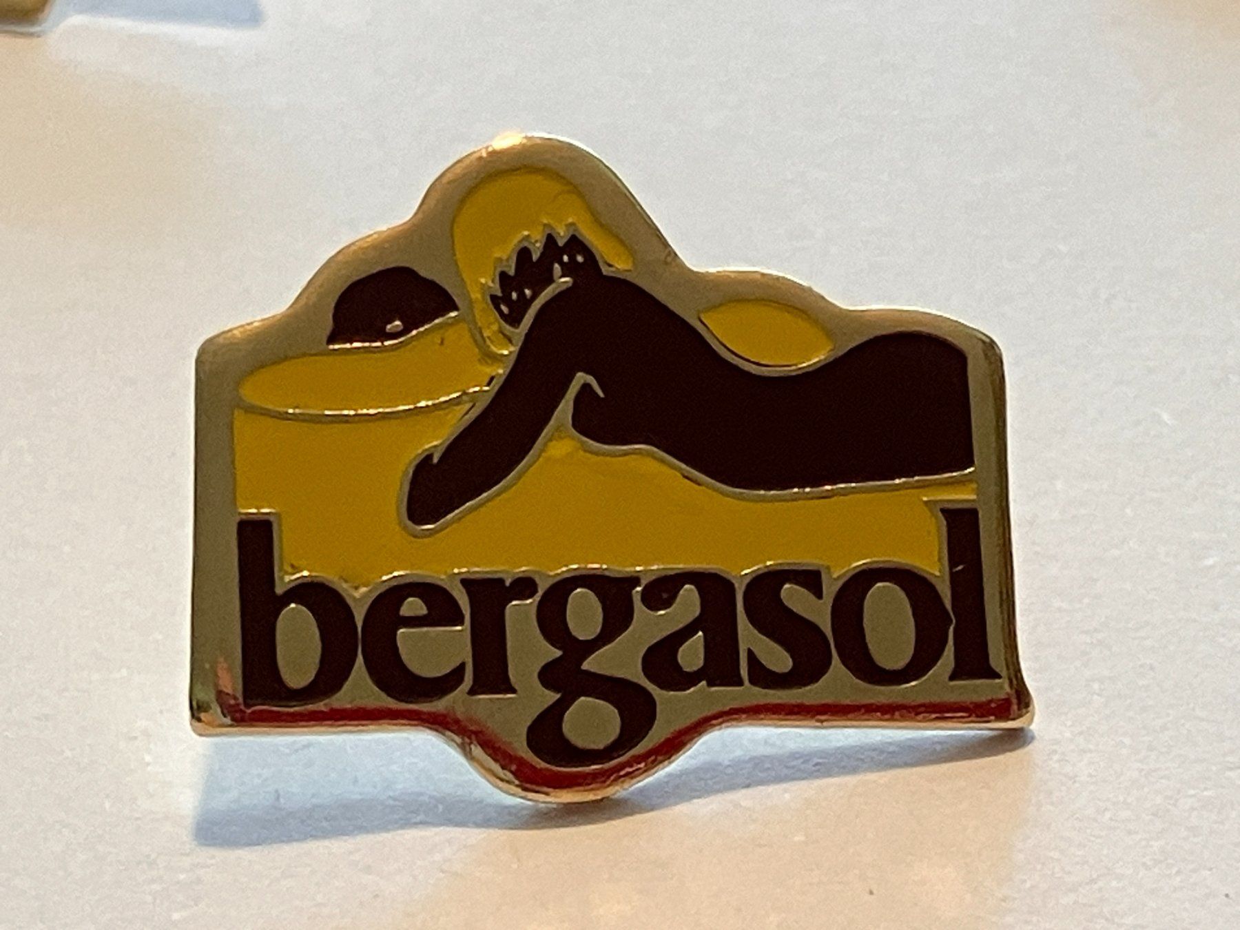 Placchette & Badge: 1 Pin Bergasol – Usato da Basel venduto da djwwpp
