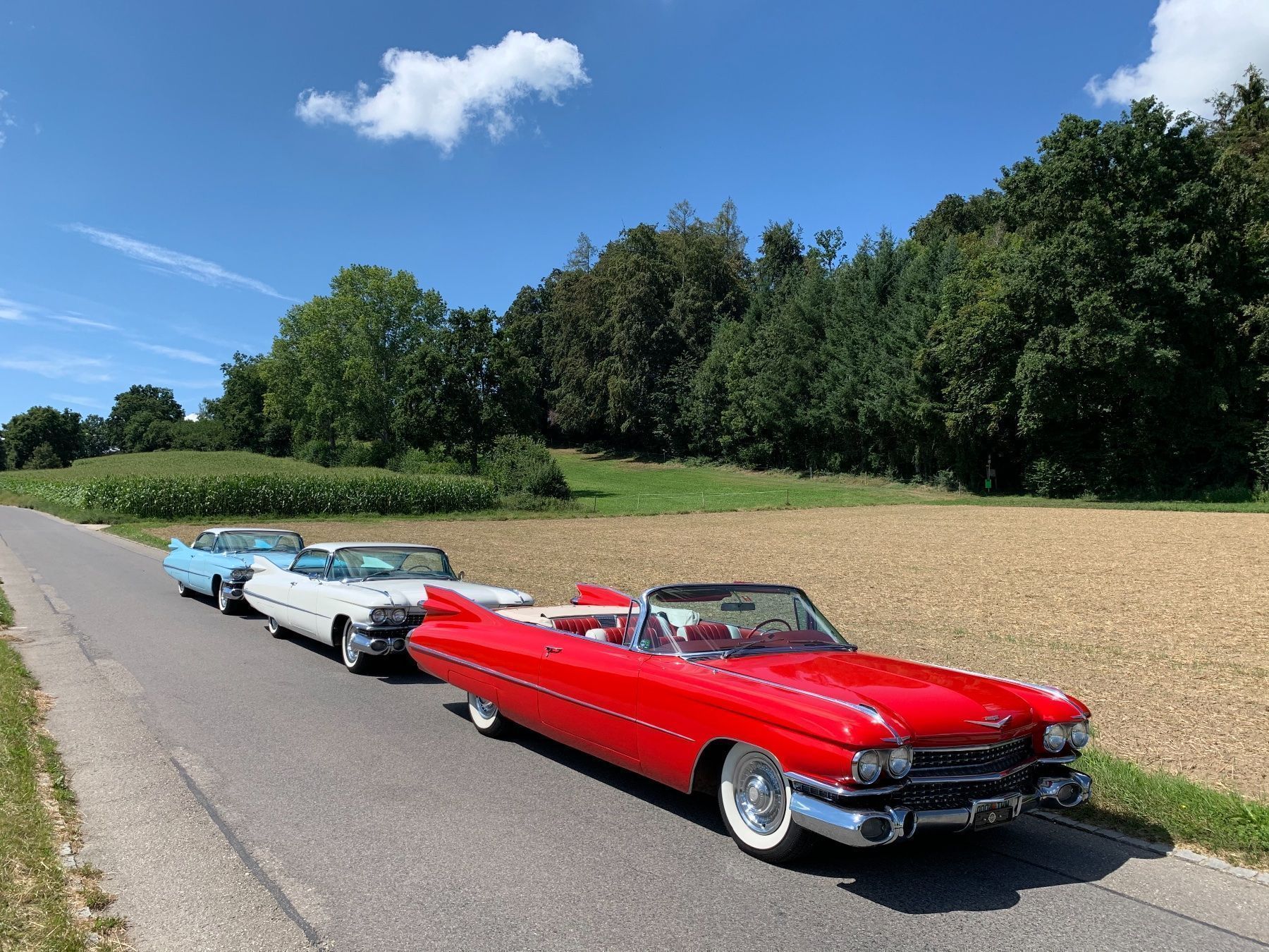Cadillac Automobili: Cadillac 1959 Cabriolet - Mieten möglich – Usato da Cressier FR venduto da Rzmstar 2