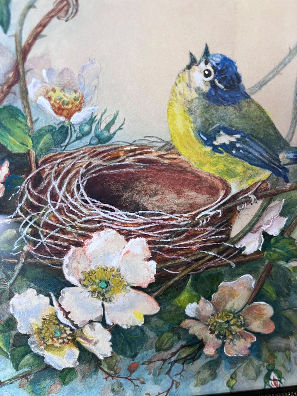 Dipinti: Original Aquarell Gemälde mit fein verziertem Rahmen – Usato da Kriens venduto da Bangkapi 1