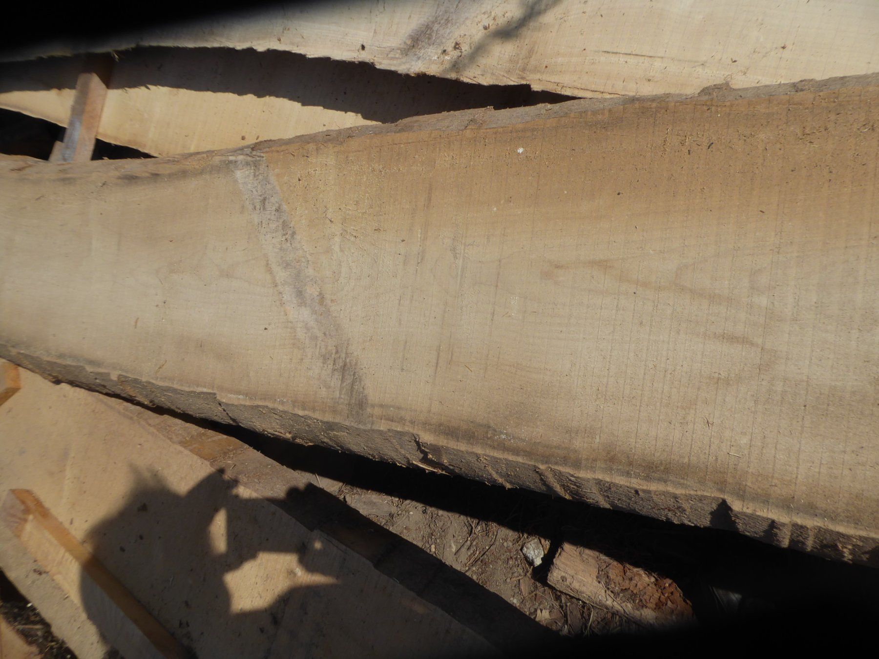 Articoli in legno: Eschenbrett 6 cm – Usato da Sumiswald venduto da Hennri1