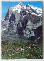 Grindelwald 1050 m, Wetterhorn