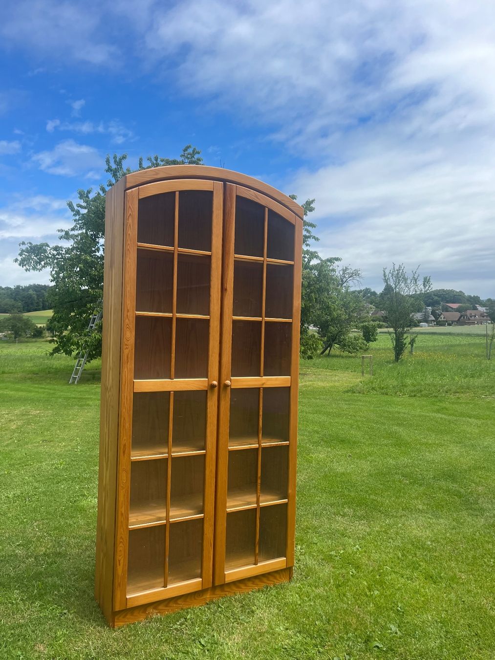Vetrine: Vitrine mit 2 Türen – Usato da Allmendingen b. BE venduto da juair 7