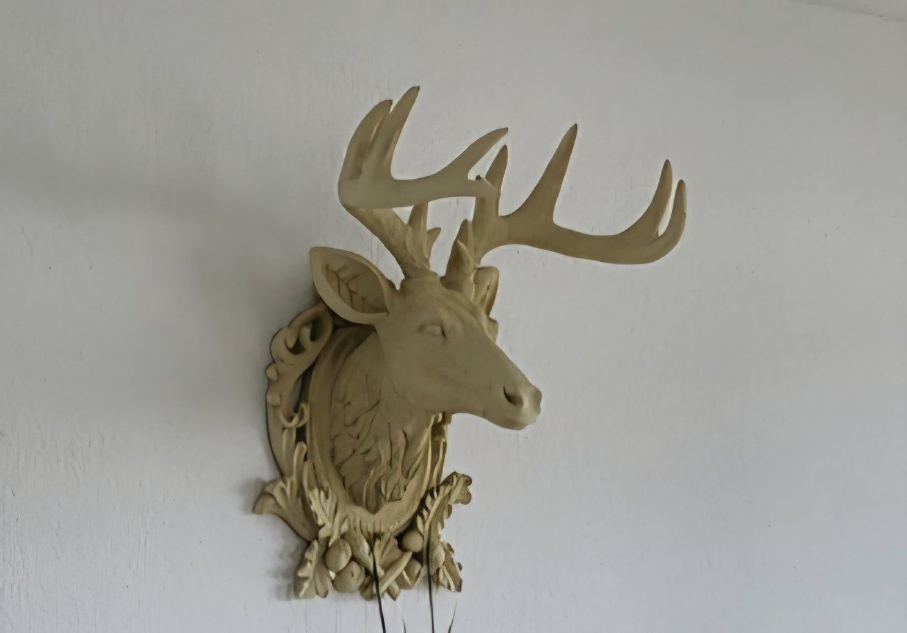 Toutes les décorations: Grosse Wand-Deko Hirsch – D'occasion à Horw par Pfderi0 1