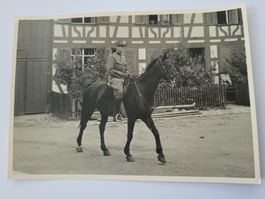 Historisches Foto Soldat Offizier mit Pferd Militär R3