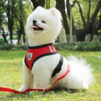 Hundegeschirr M