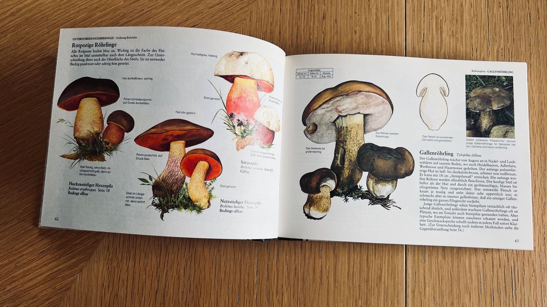 Libri: Pilze Mitteleuropas - Wegweiser Natur,1982 – Usato da Schübelbach venduto da Bemafaja 3