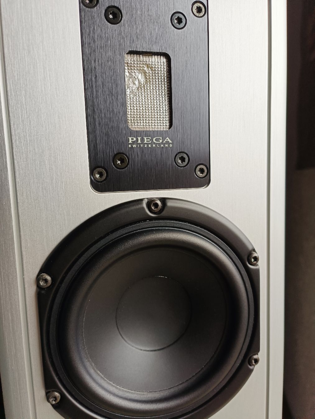 Piega Casse acustiche: Piega TP5 Highend Lautsprecher – Usato da Steffisburg venduto da zulg03 5