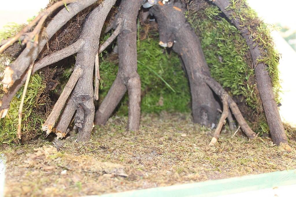 Articles en bois: Wurzelkrippe – Neuf avec emballage d'origine à Moosseedorf par Tigerlily1 2
