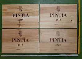 4 Deckblätter Frontseiten «Pintia»