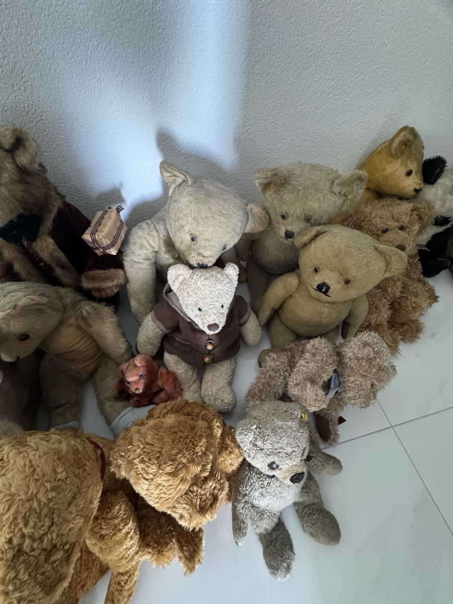 Steiff Giocattoli: Collection de ours en peluche vintage – Usato da St-léonard venduto da LUXURYCOQUOZ 6
