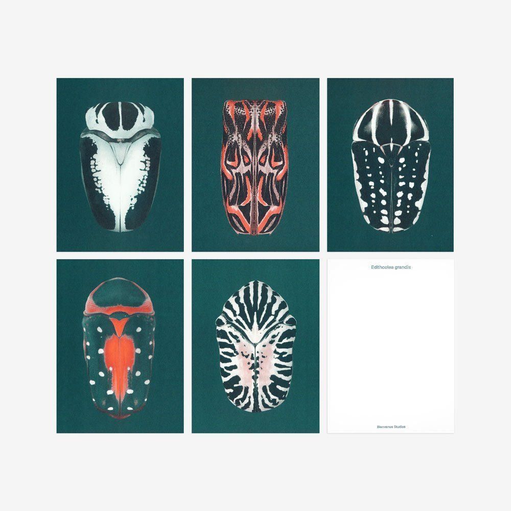 Cartoline: N° 9 Iridescence – Nuovo e nell'imballaggio originale da Zürich venduto da BienvenueStudios