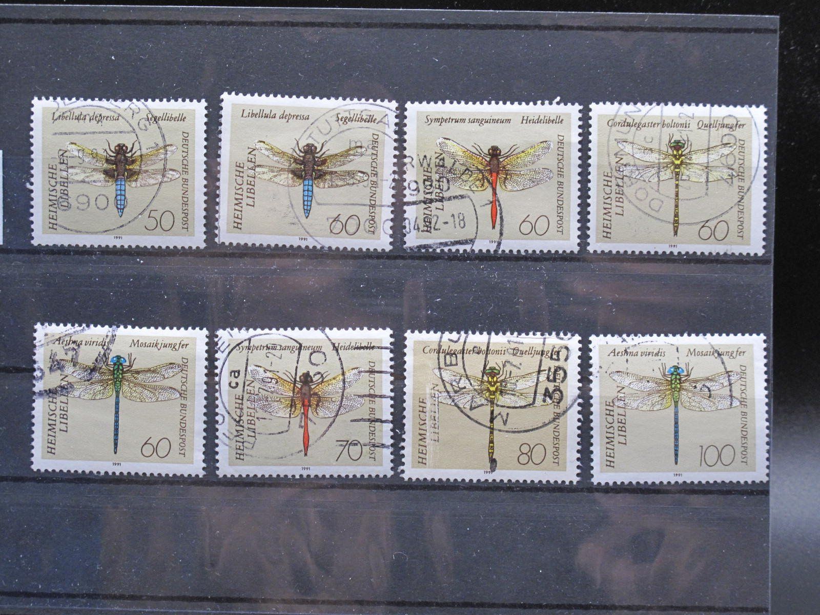 Alle Briefmarken: BRD 1991 Libellen gest. – Gebraucht aus Wil SG von fva01