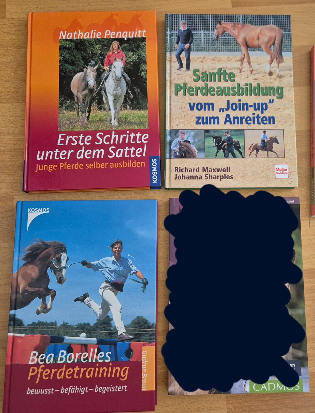 Libri: Pferdefachbücher Pferdeausbildung – Usato da Meggen venduto da Orrinka20