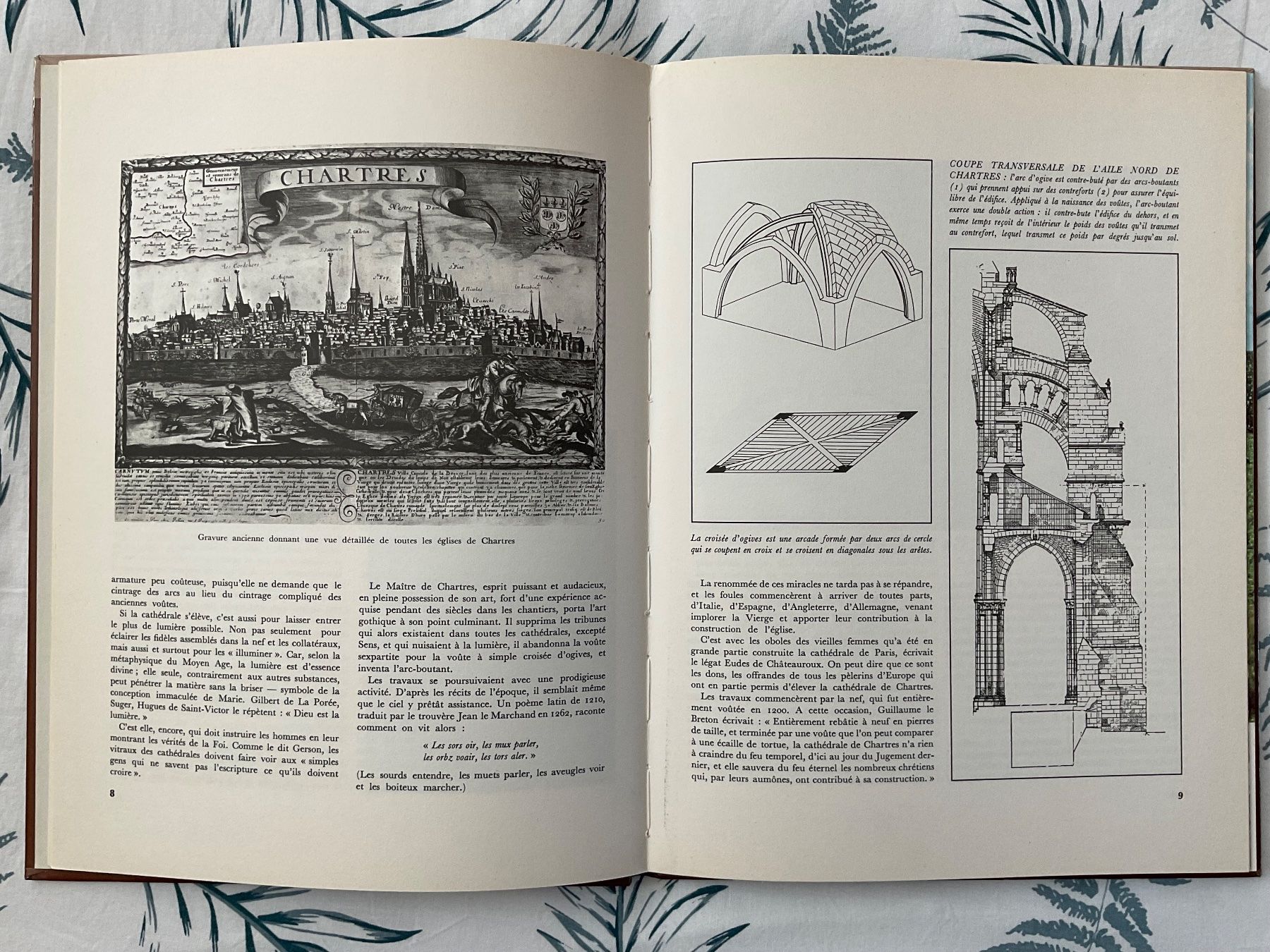 Libri: Chartres (en français) – Usato da Zürich venduto da tol_b7c7 2