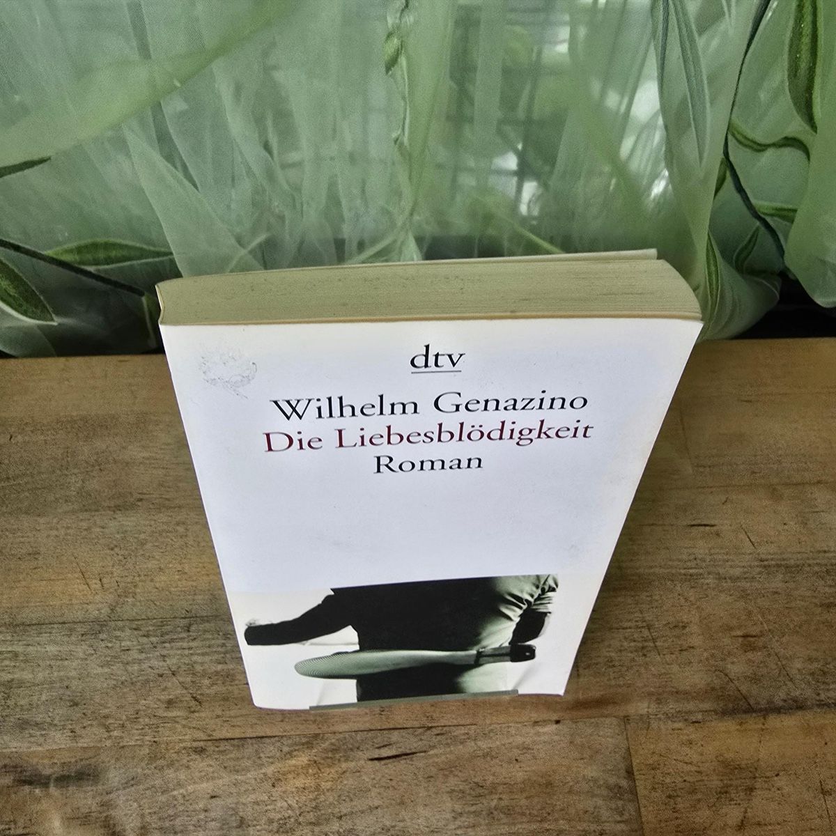 Libri: Die Liebesblödigkeit von Wilhelm Genanzio – Usato da Merlischachen venduto da Sheavy 2