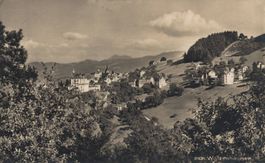 Alte Ansichtskarte, Walzenhausen, gel 1923