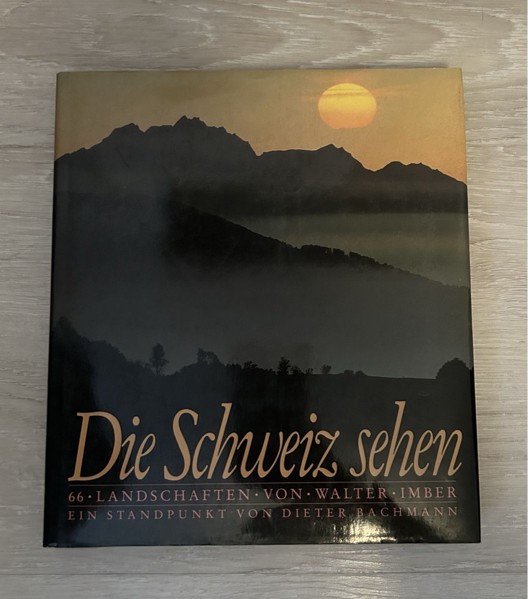 Libri: Buch Die Schweiz sehen – Usato da Brunnen venduto da Bastelrausch