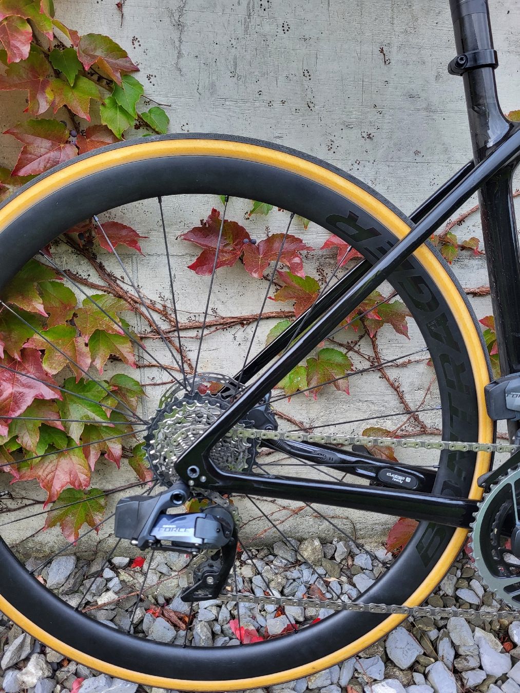 Biciclette: Trek Emonda SL6 – Usato da Buchs SG venduto da nicotambarikas 2
