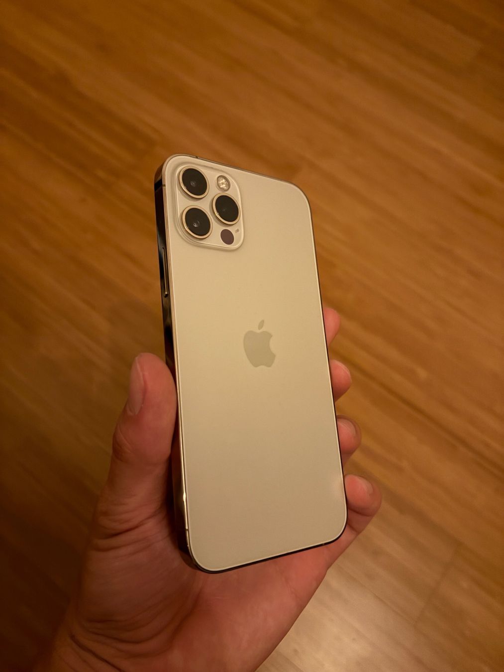 Apple Handys / Smartphones: iPhone 12 Pro – Gebraucht aus Muttenz von timcanfly_