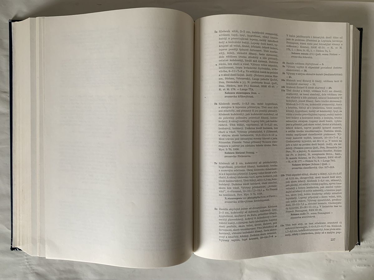 Libri: Agaricales - Dr. Albert Pilát – Usato da Luzern venduto da flo6005 2