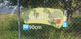 WEERBESCHILD - RESTAURANT - POP UP  CAFE - LADEN - SALATE