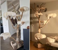 Katzenbaum Naturholz, guter Zustand