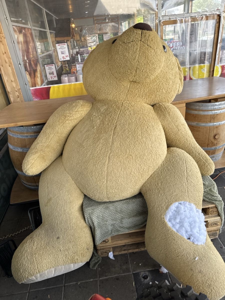 Giocattoli: Grosser Teddybär defekt gebraucht beige – Difettoso da Küttigen venduto da B-Man