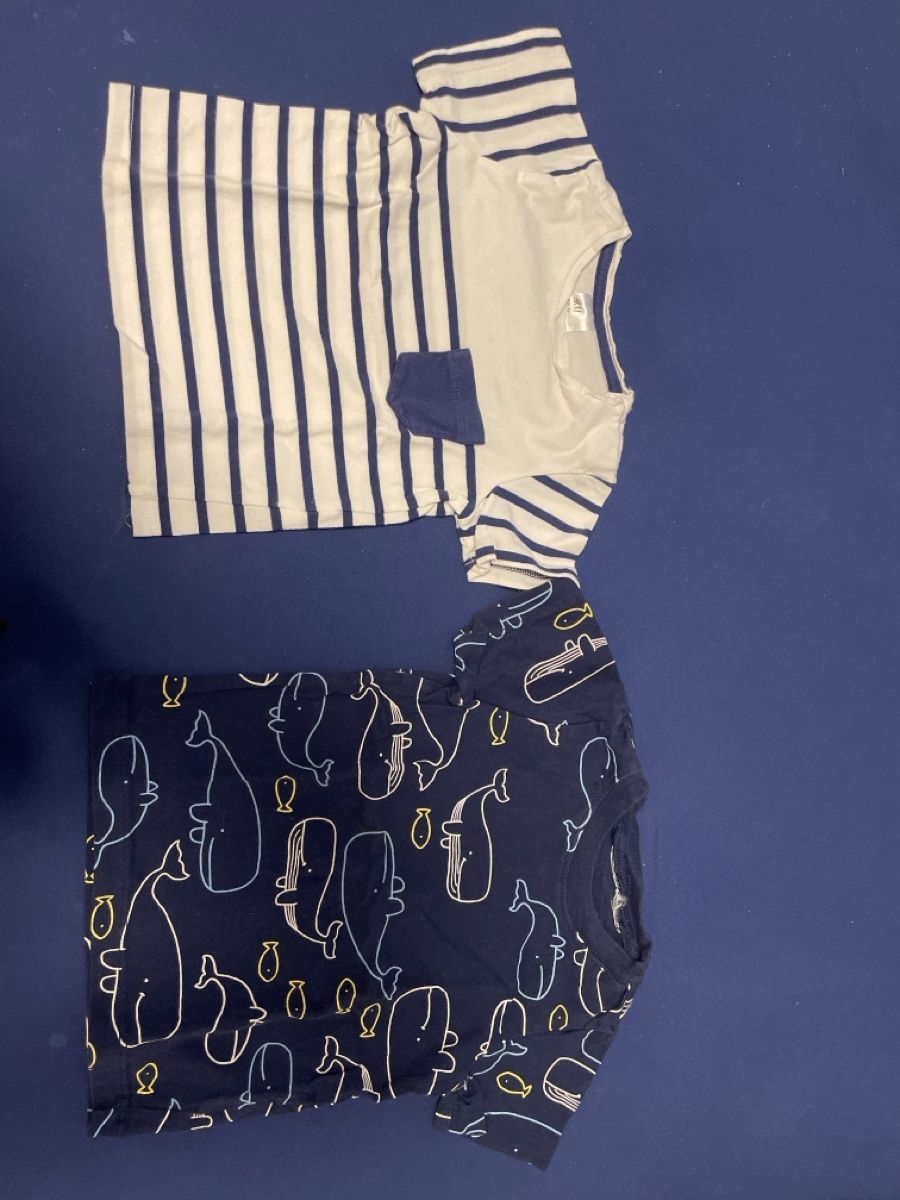 H&M Camicie, T-shirt & Polo: T-Shirt Grösse 74 Knaben – Usato da Rothenburg venduto da Lindas2003 4