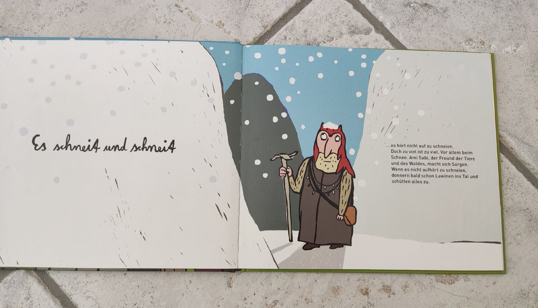 Libri: AMI SABI im Schneewunderland – Usato da Chur venduto da Nisami 3