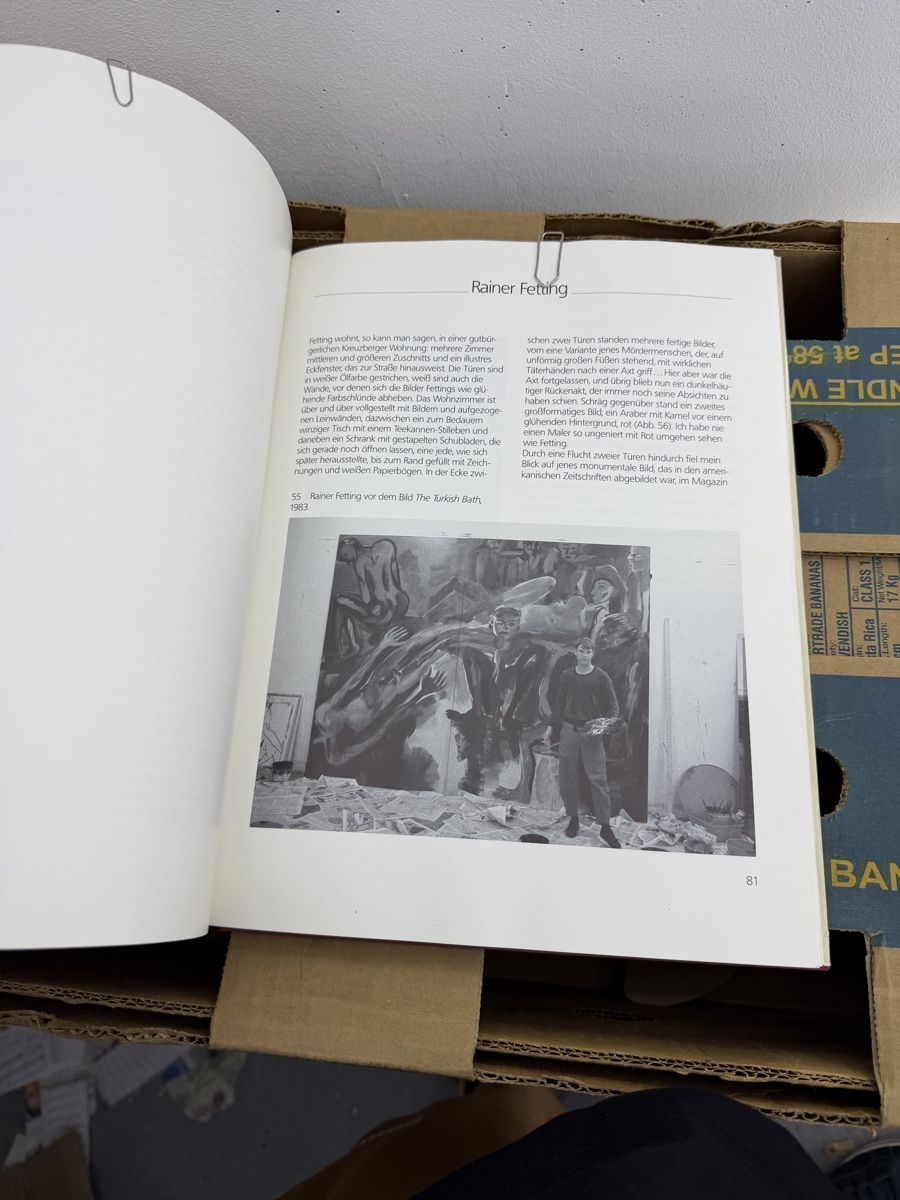 Libri: Die neuen wilden in Berlin – Usato da Wettingen venduto da NickInc 5